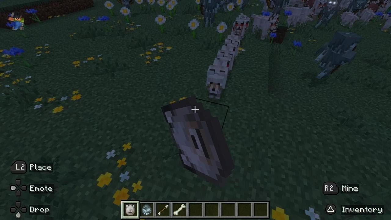 Minecraft_wolfs all ways Fight skeleton
