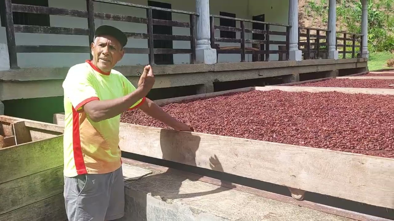 Instalaciones para procesamiento postcosecha de almendras de cacao cerca de Río Caribe Edo. Sucre 