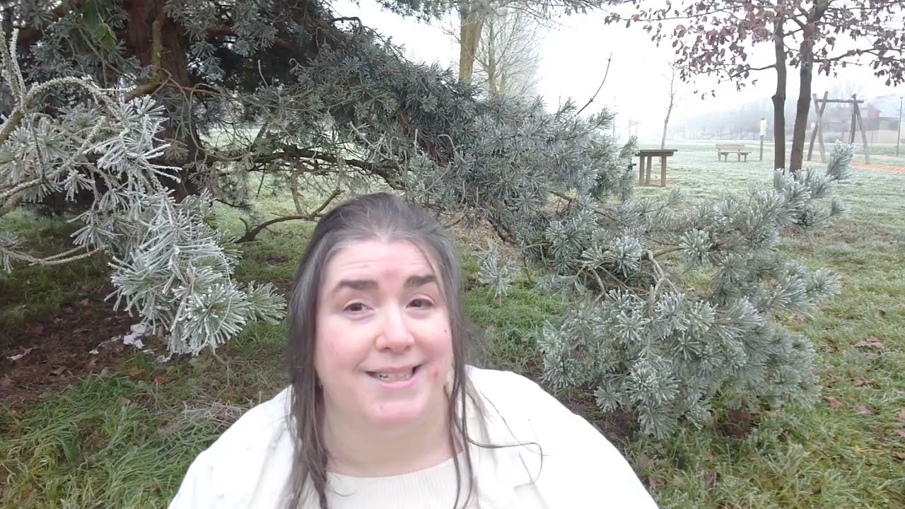 215 Qu'en pense Patricia : Les termes utilisés pour l'évolution spirituelle et énergétique actuelle