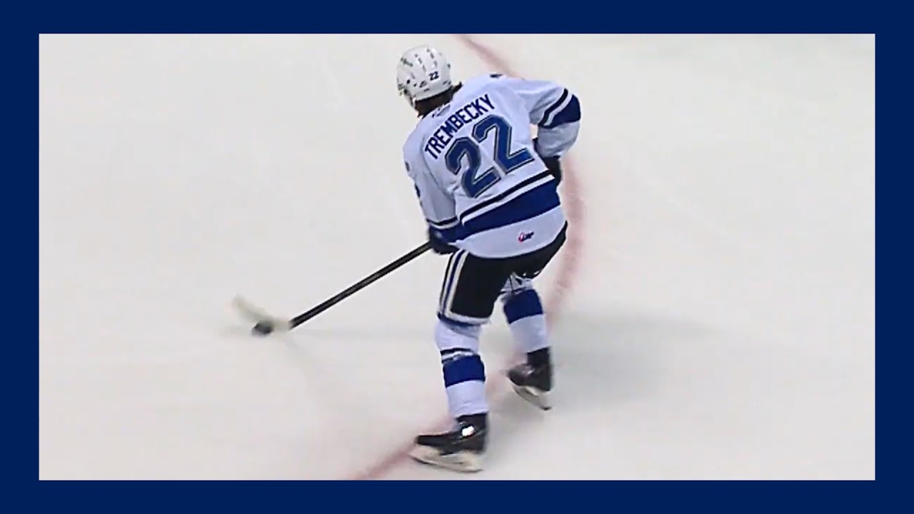 Teydon Trembecky | VIC Royals | All (10) WHL Goals from 2023-24