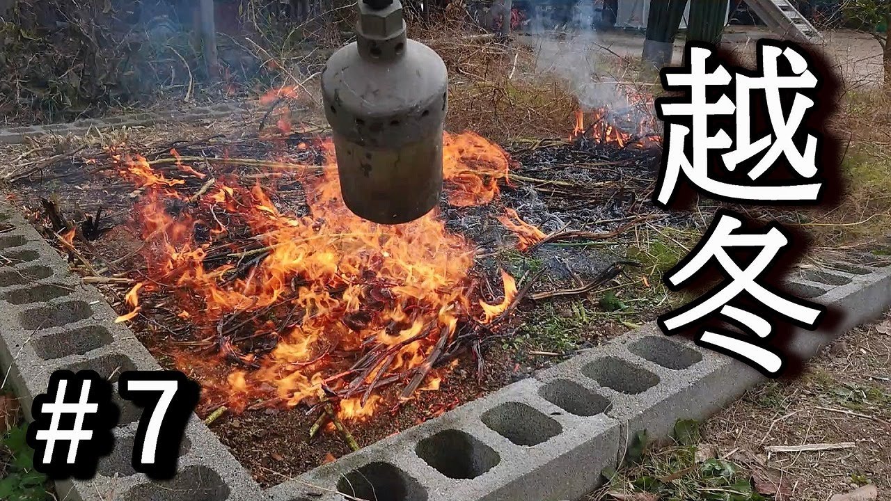 家庭菜園でアスパラガスの栽培日記＃7『夏の追肥方法～3度目の冬越し』