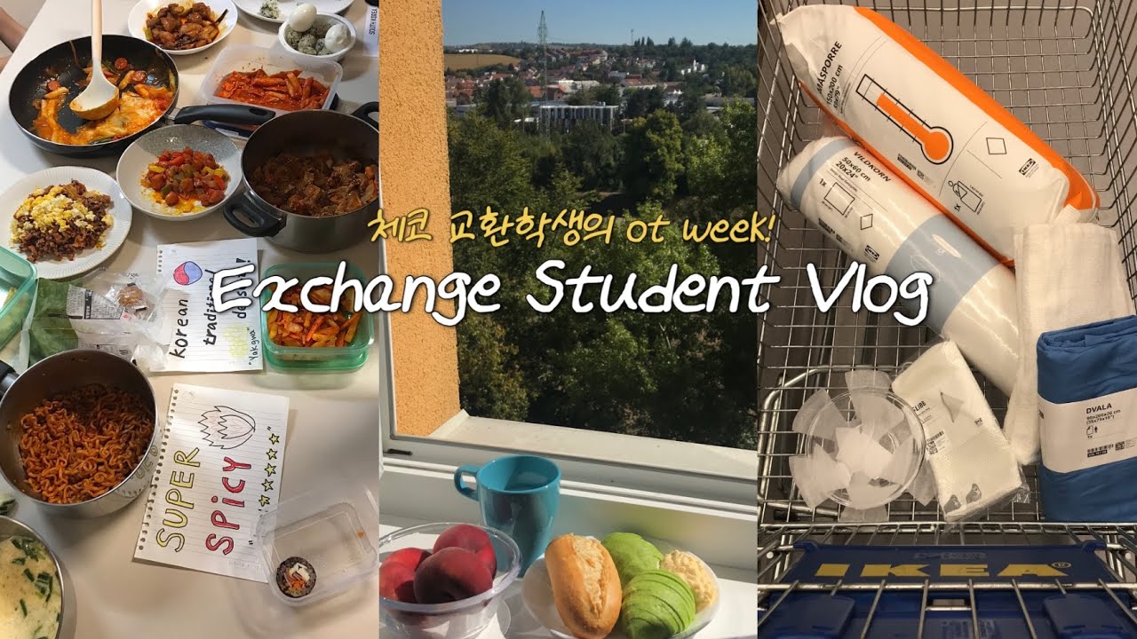 [Brno🇨🇿] 체코 교환학생 브이로그 | 매일매일 파티가 열리는 체코 대학교🪩🍾 | 기숙사 | OT week | pub crawl🍺 | international dinner🇰🇷🍚