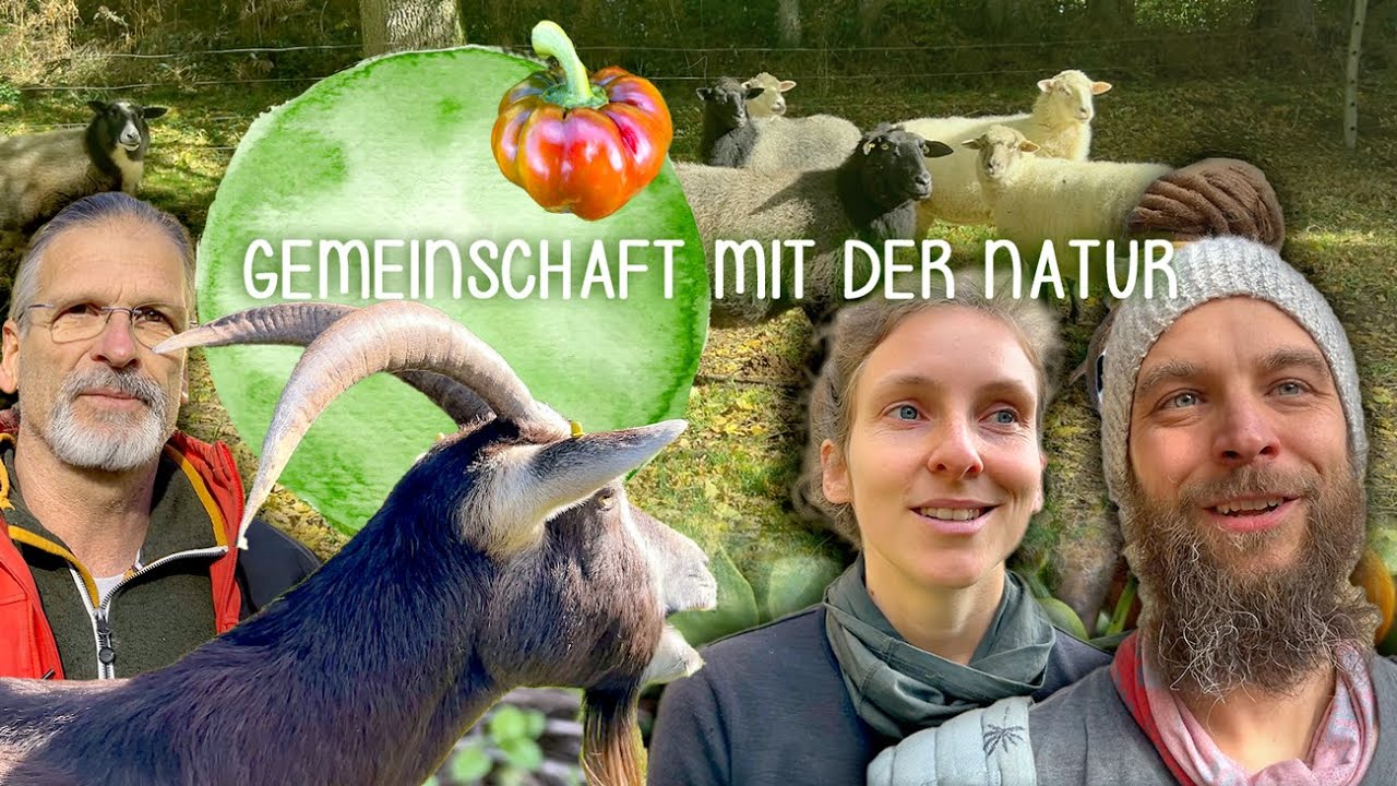 Leben in der Hofgemeinschaft Schweixer Mühle