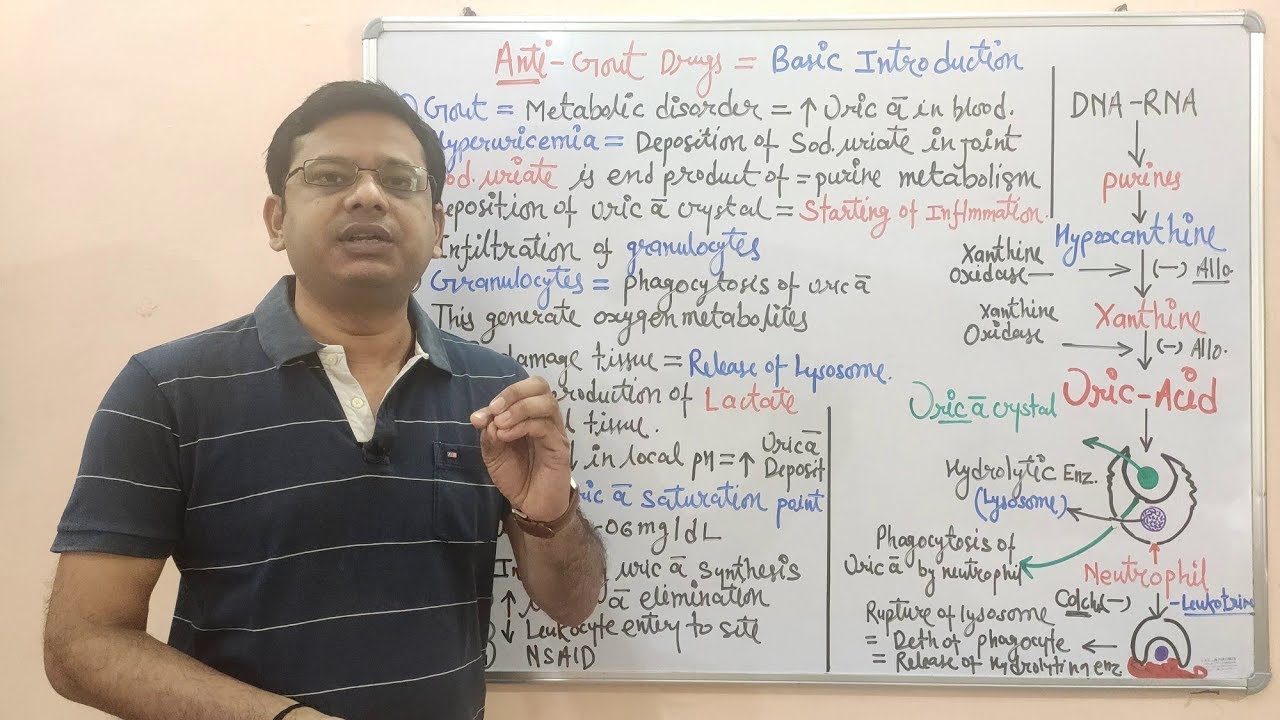 Anti Gout Drugs (Part-01) = Basic Introduction and Pathophysiology of Gout | Gout | What is Gout