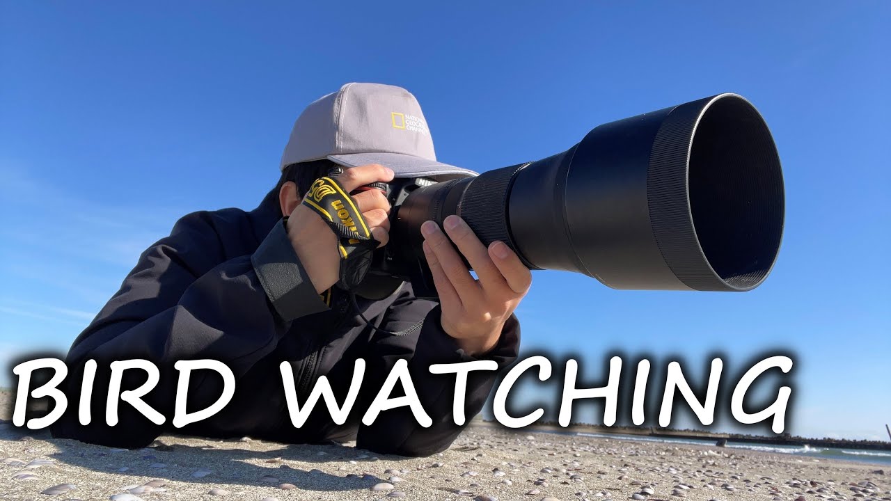 初見鳥登場！野鳥のかわいい姿はこうやって撮るのがベスト！？【Nikon P950＆D500撮影】