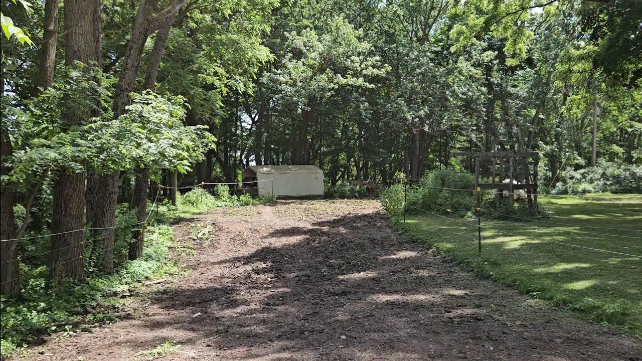Envision Farm- 2024 Updated Horse Track/Paddock Paradise Tour