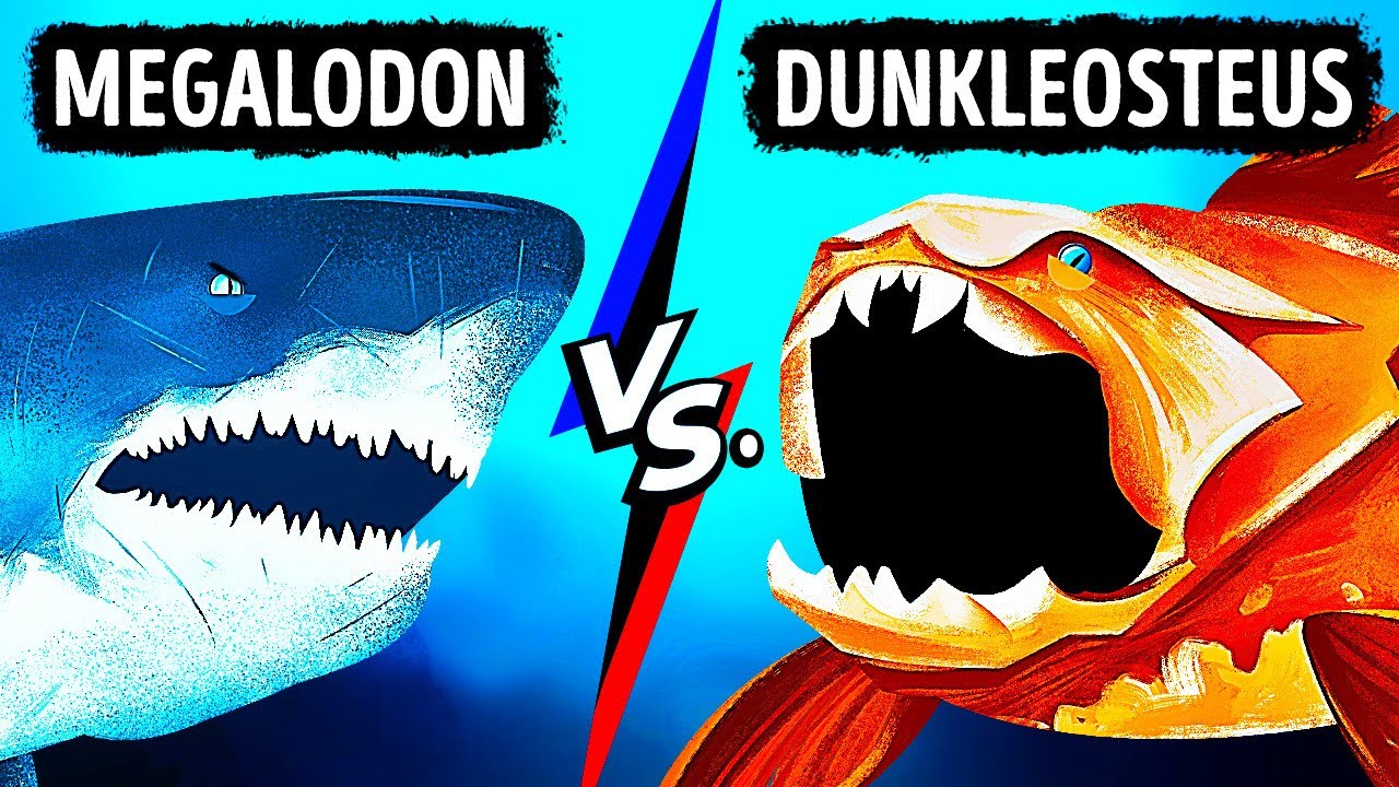 Der Megalodon trifft auf den Fisch mit dem kräftigsten Biss der Welt!