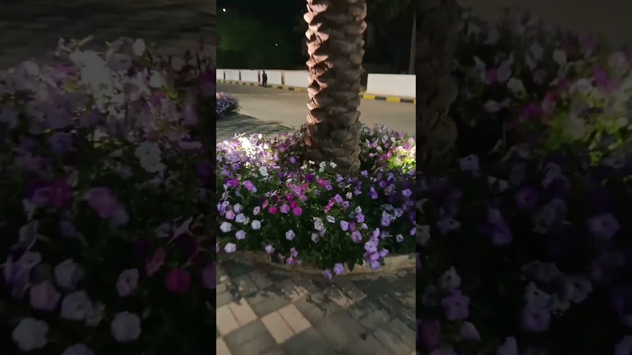 অসাধারণ রাস্তার পাশের দৃশ্য