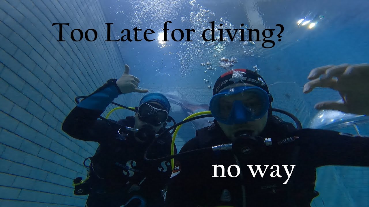 Too Late - Diving in the...