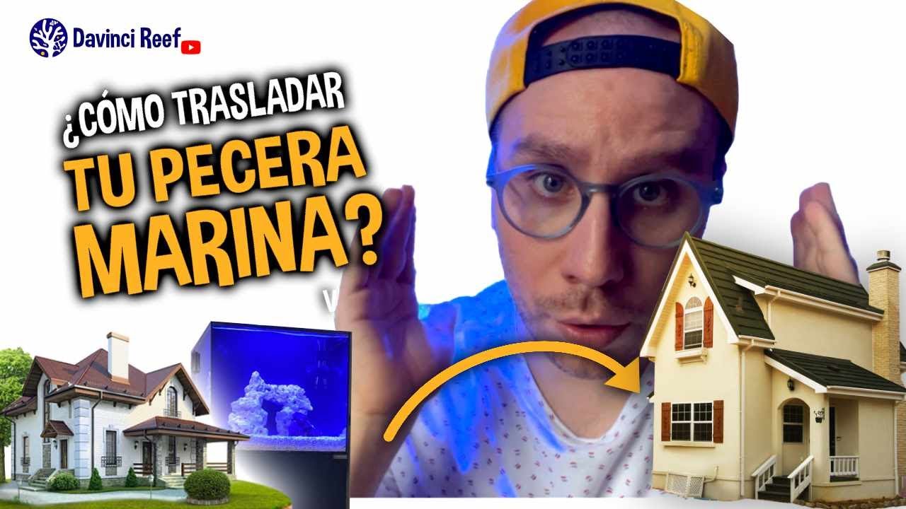 Cómo trasladar una acuario marino con éxito, en este caso un Waterbox 20G.