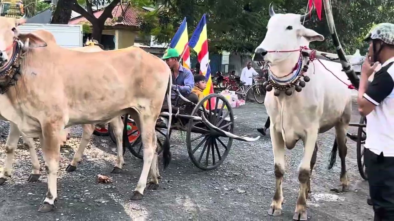 Lễ hội kathina