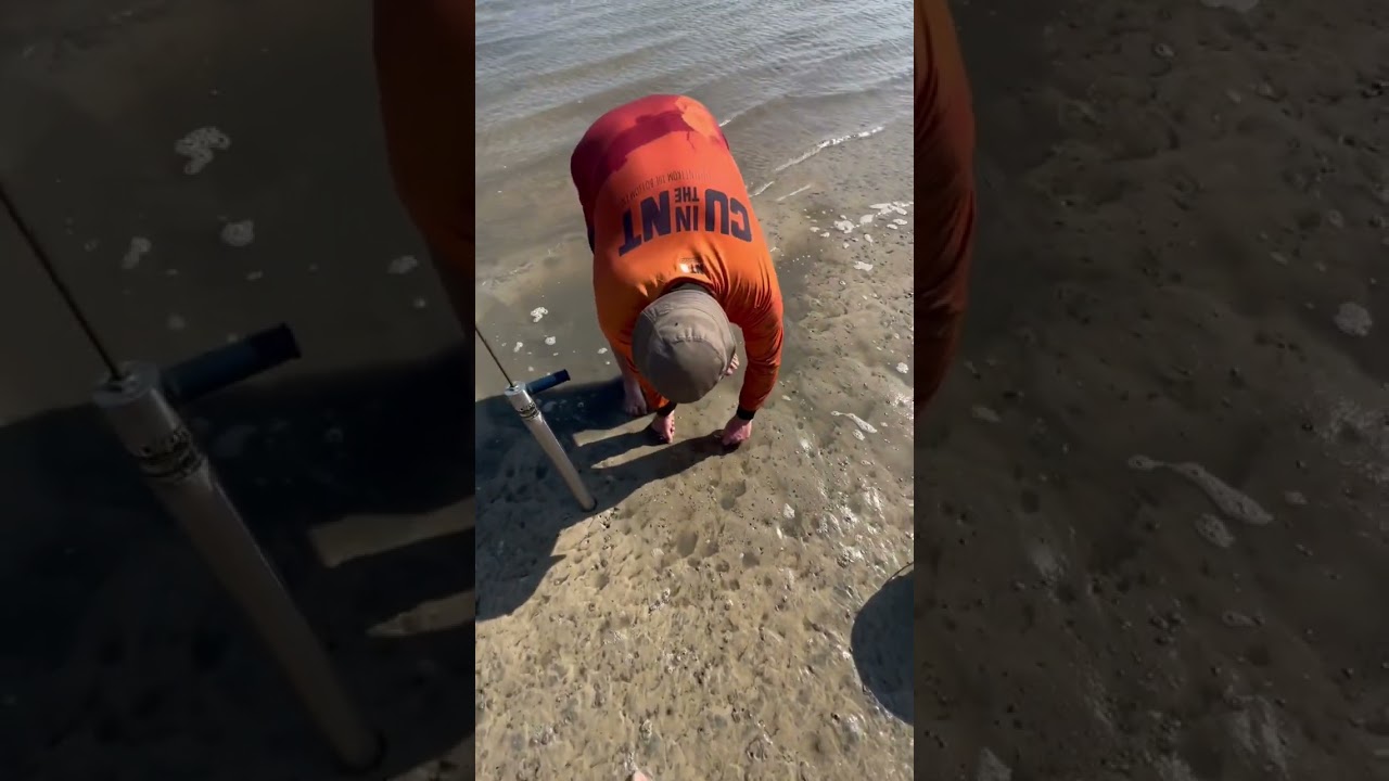 How to use a yabby pump #fishing #shorts