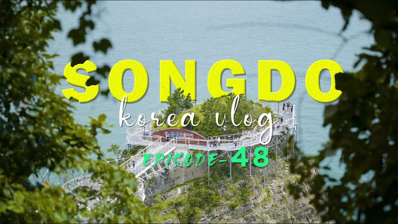 korea vlog ep-48  | back to home l last vlog l songdo beach l summer vacation 2022 last day l vangre