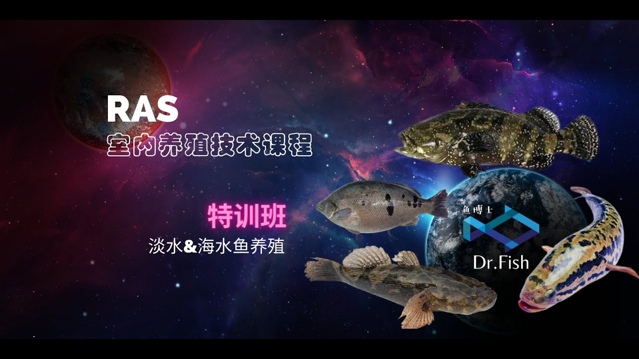 RAS室内养殖技术课程【特训班】| Recirculating Aquaculture System Course