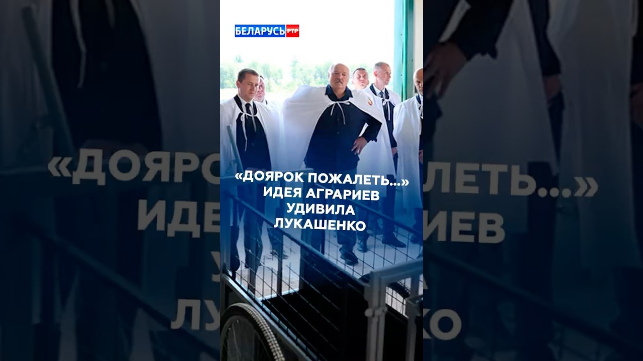 &laquo;Доярок пожалеть...&raquo; Идею аграриев показали Лукашенко #лукашенко #беларусь #новости