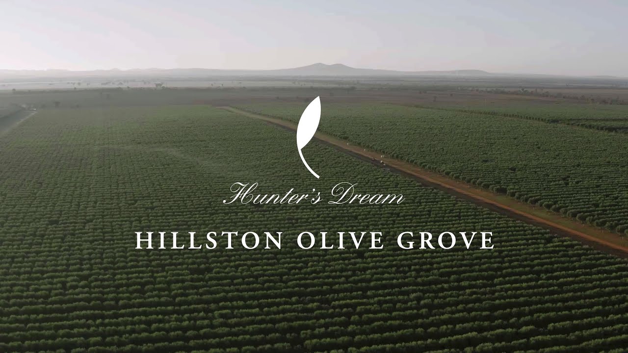 Hunter's Dream Estate | Hillston Olive Grove