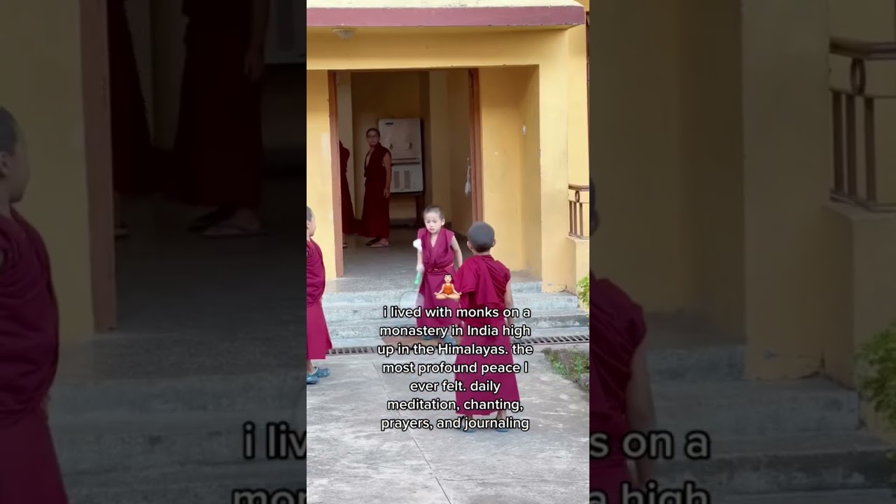 Living on a Monastery in India #india #monks #peace #meditation #travel