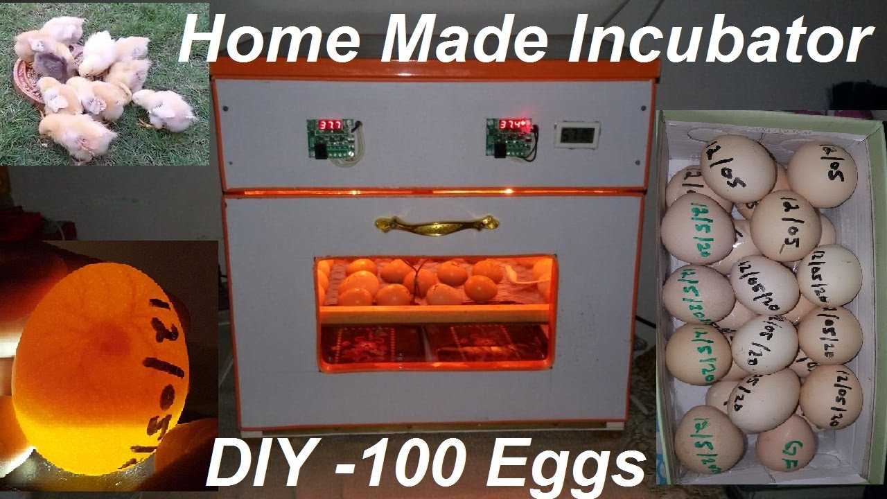 DIY-Home Made Incubator Eggs Hatcher -How to make an Incubator || 100 Eggs DC - AC incubator project