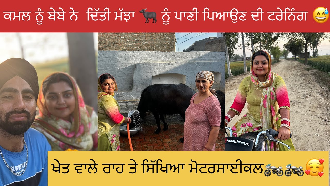ਕਮਲ ਨੇ ਬੇਬੇ ਤੋ ਲਈ ਮੱਝਾਂ 🐃ਨੂੰ ਸਾਂਬਣ ਦੀ ਟਰੇਨਿੰਗ 😅ਤੇ ਚਲਾਇਆ ਮੋਟਰਸਾਈਕਲ 🏍️🥰😍#happyfarminglife #vlog 