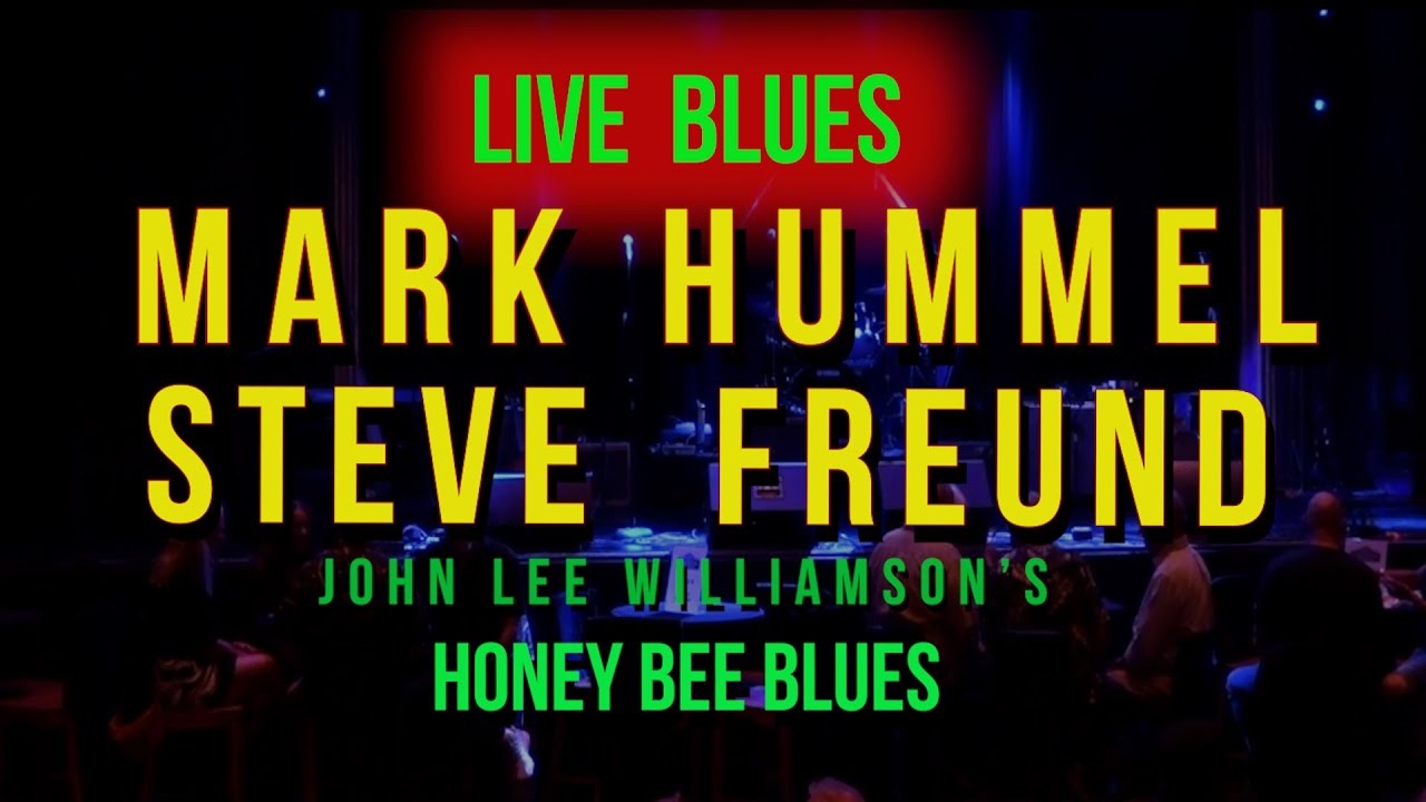 Mark Hummel & Steve Freund Live Blues - John Lee Williamson's 