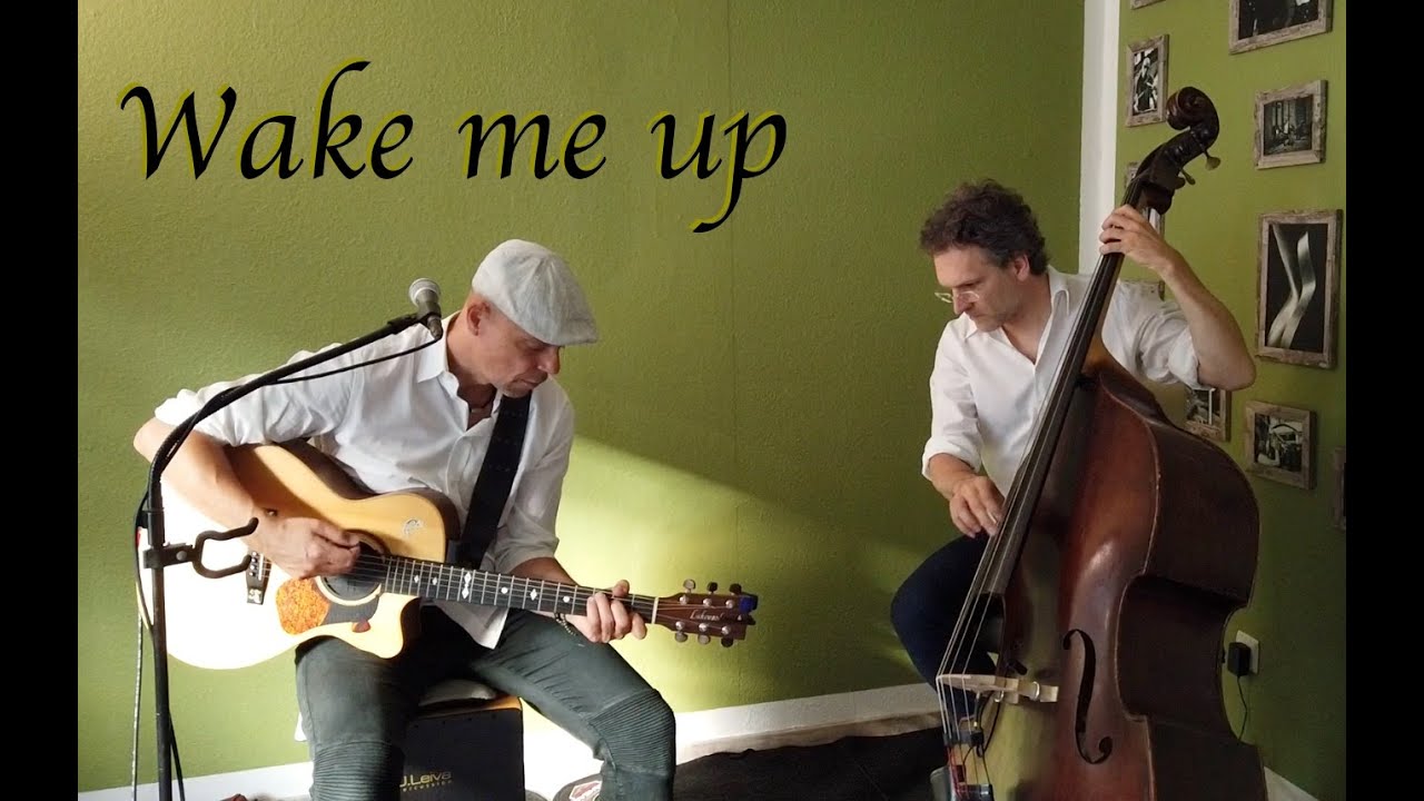 Wake me up   Aloe Blacc   Cover by Duo Bazzoo