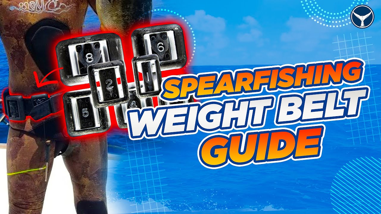 How to Be Properly Weighted for Spearfishing | Spearfishing 101