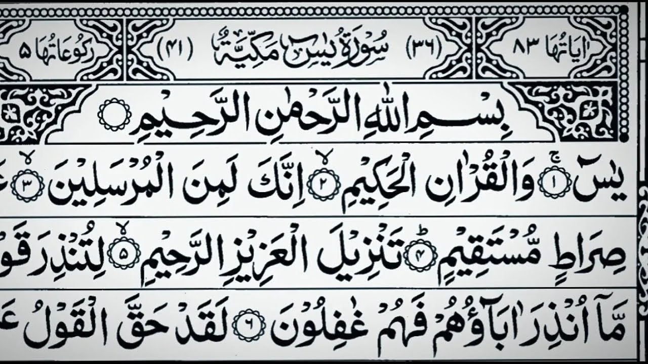 Surah Yaseen, Rahman, Waqiah, Sajdah & Mulk | Full Quran Recitation