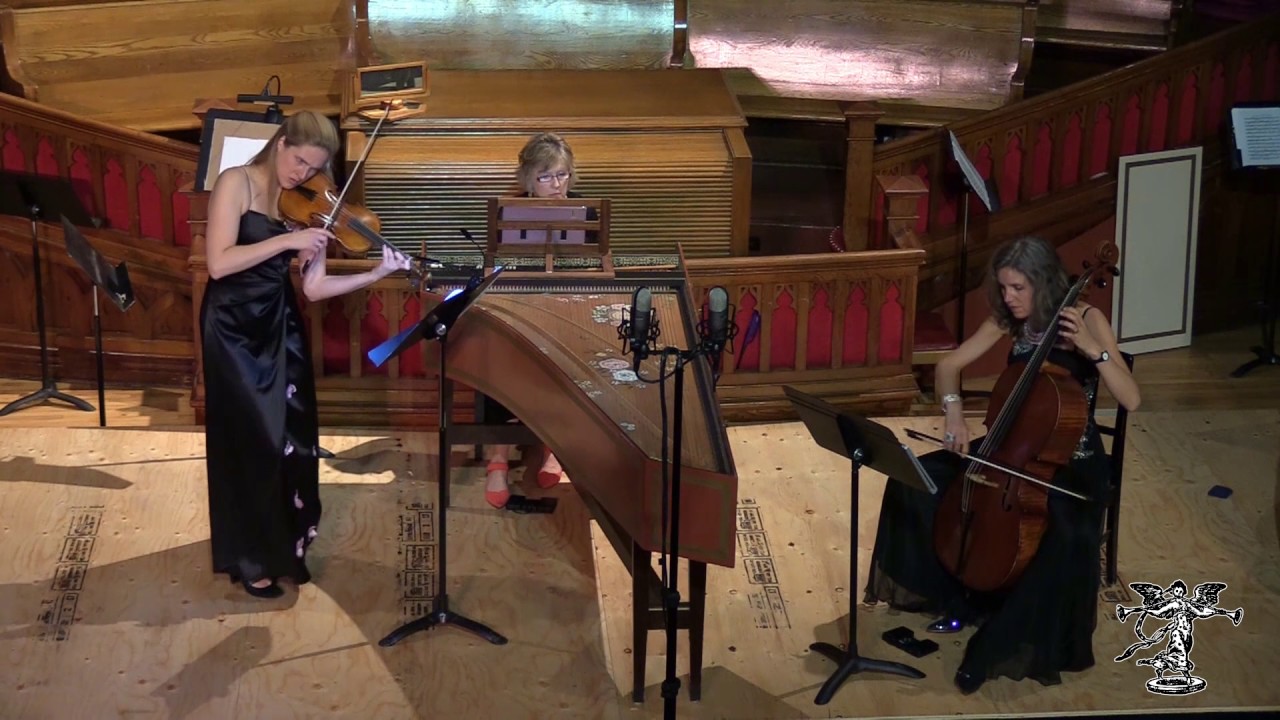 Corelli - Sonata for violin and continuo opus 5 no 7 in d minor (live and unedited)