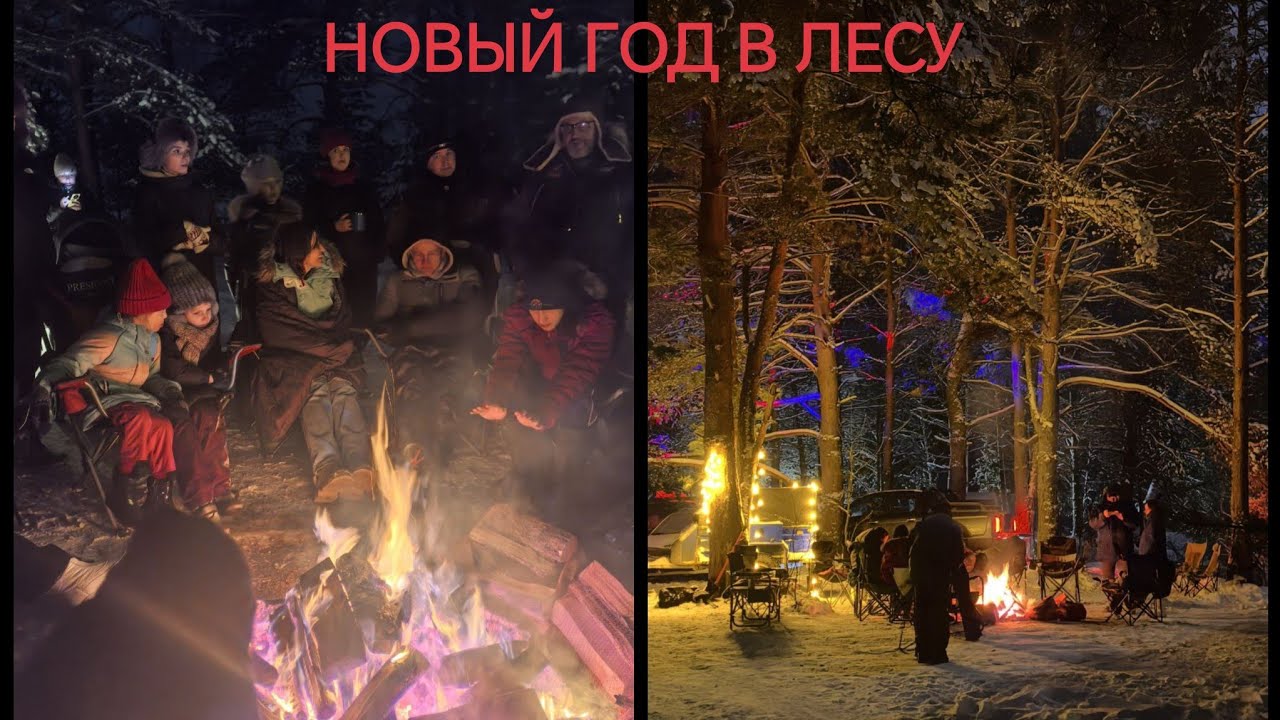 НОВЫЙ ГОД В ЛЕСУ 