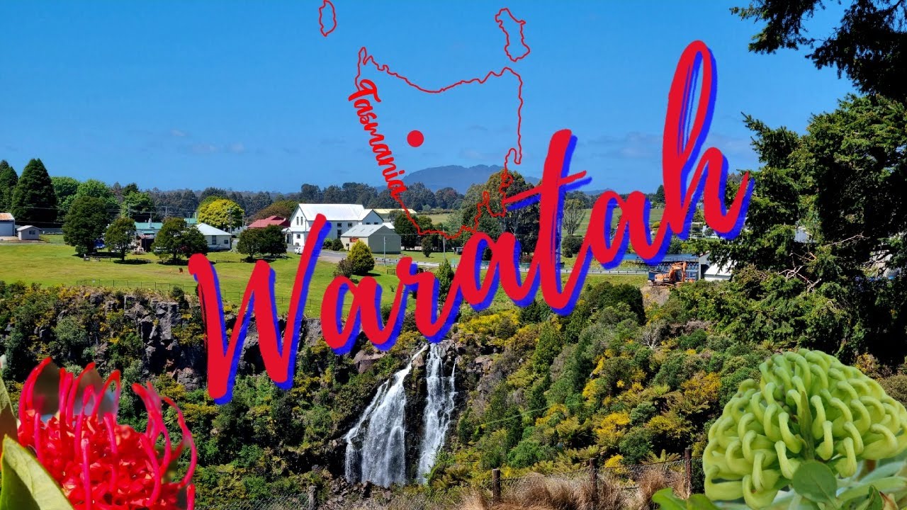 Waratah TASMANIA
