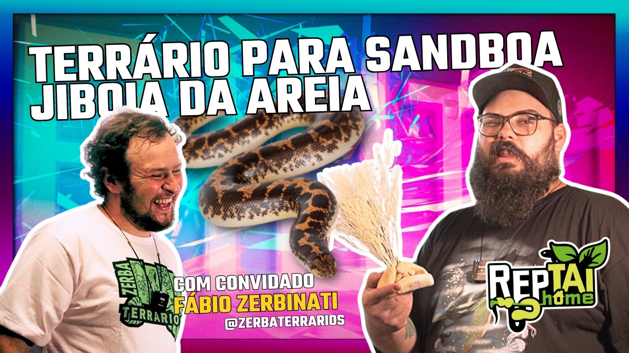 Montando TERRÁRIO de Kenian SAND BOA - convidado Zerba Terrários e Biólogo Tai - REPTAI HOME
