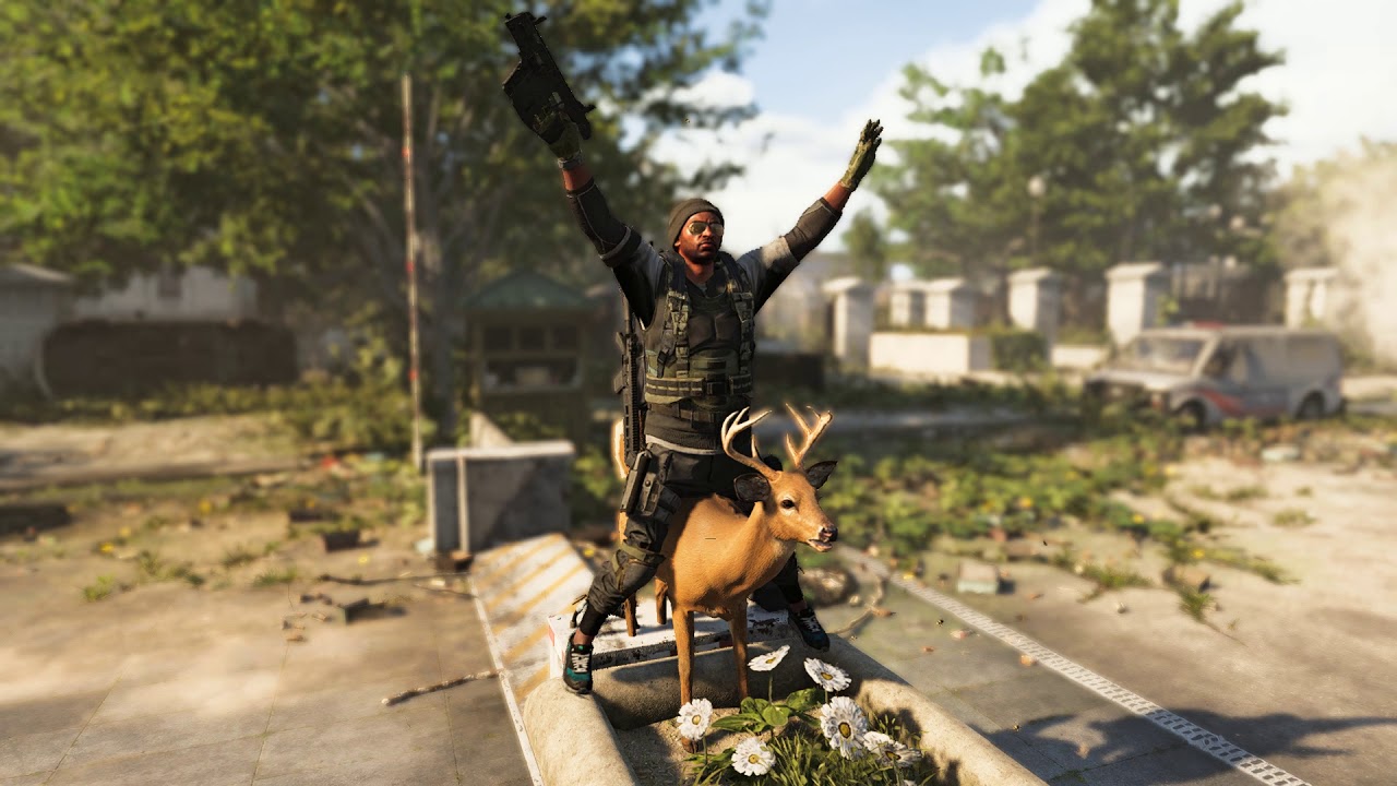 A deer