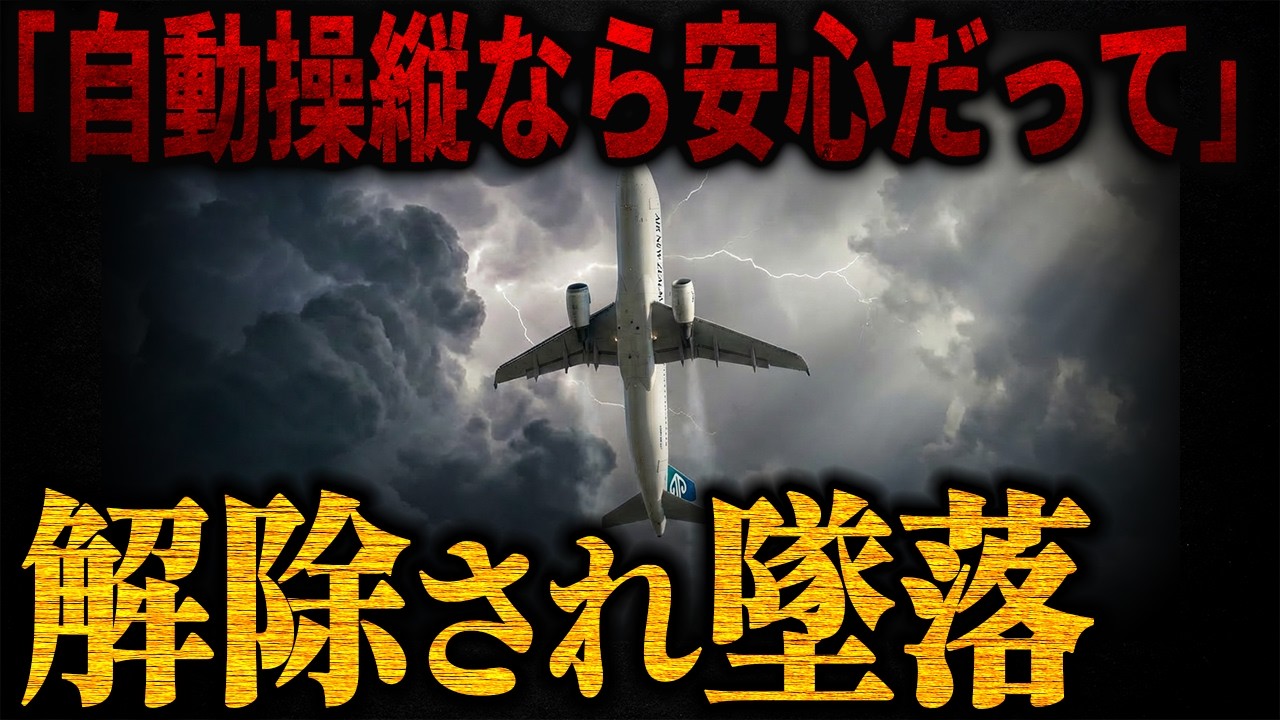 自動操縦が解除され…「機首が下がらない！」上空で直立し墜落…｜XLドイツ航空888T便墜落事故【再現ドラマ】