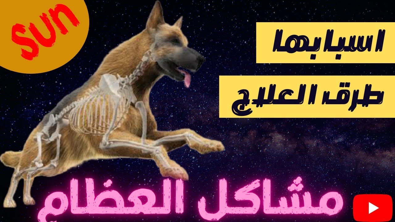 مشاكل العظام والمفاصل والاربطه /احزر من الاصابه بمشاكل العظام