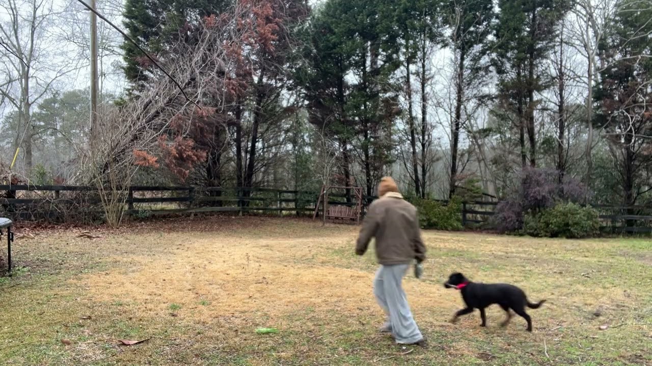 Bagheera play session #1 (fearful lab) 