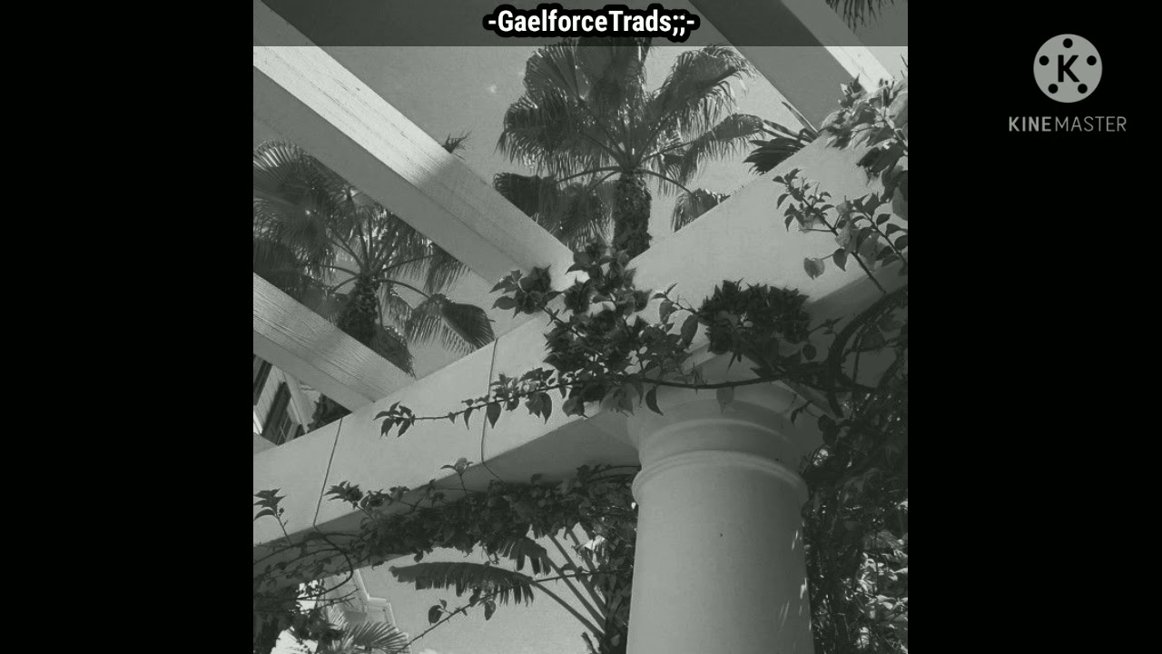 Susurros en tu oído con mi español y irlandés!🗣️🍀 Gaelforce Trads- Gaelforce Audios- (Sub Español)