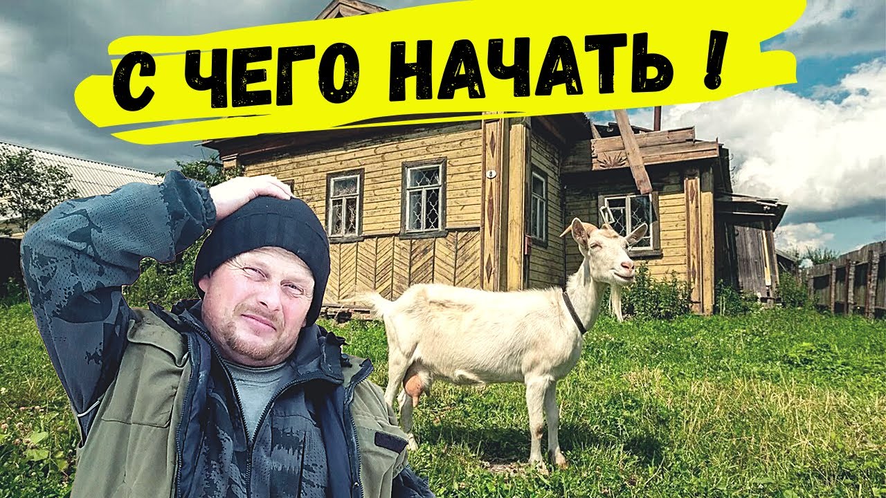 С чего начать жизнь в деревне. С каких животных лучше начинать своё хозяйство.
