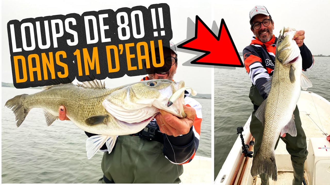 DES LOUPS DE 80CM DANS 1M D'EAU 😱 PÊCHE EN MÉDITERRANÉE 🎣 EN WADDING & BATEAU / GUIDE EN SARDAIGNE