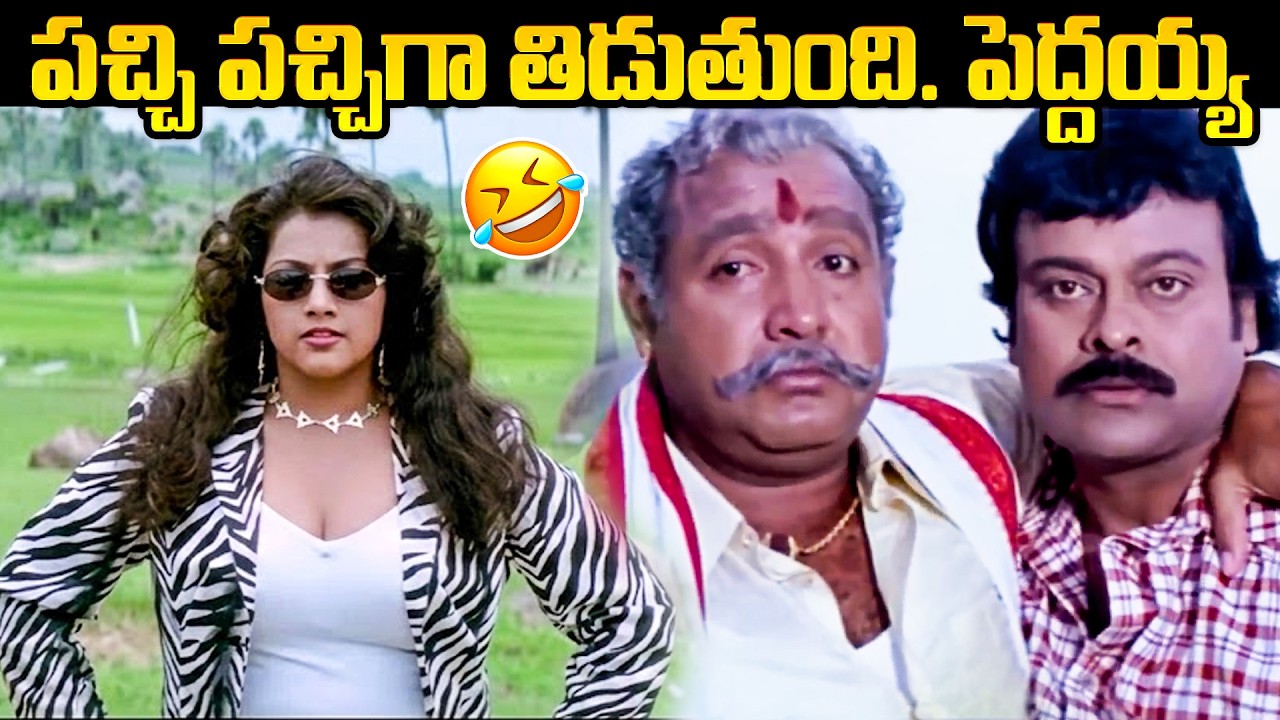 పచ్చి పచ్చిగా తిడుతుంది | Chiranjeevi, Meena Super Duper Hit Movie Sneham Kosam Comedy Secens