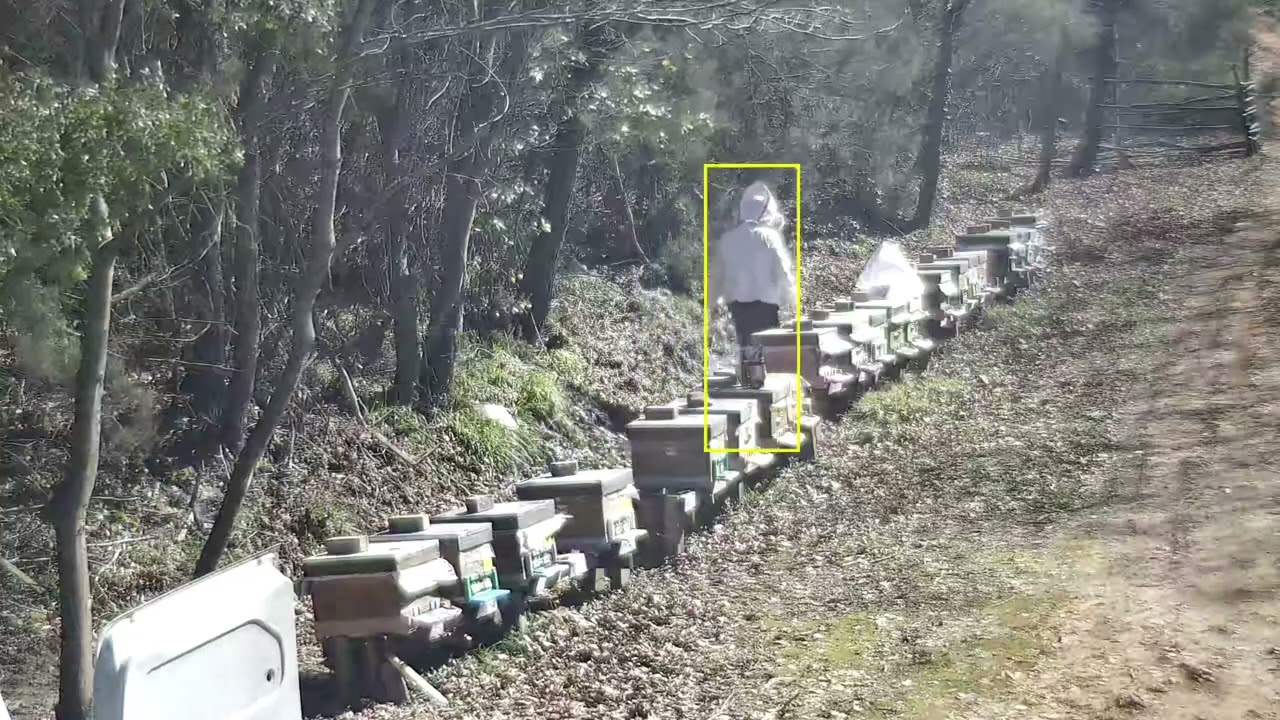 Güvenlik Kamerası Çekimi Arı Bakımı ve Fondan Beslemesi 🐝🐝🐝🇹🇷🇹🇷🇹🇷