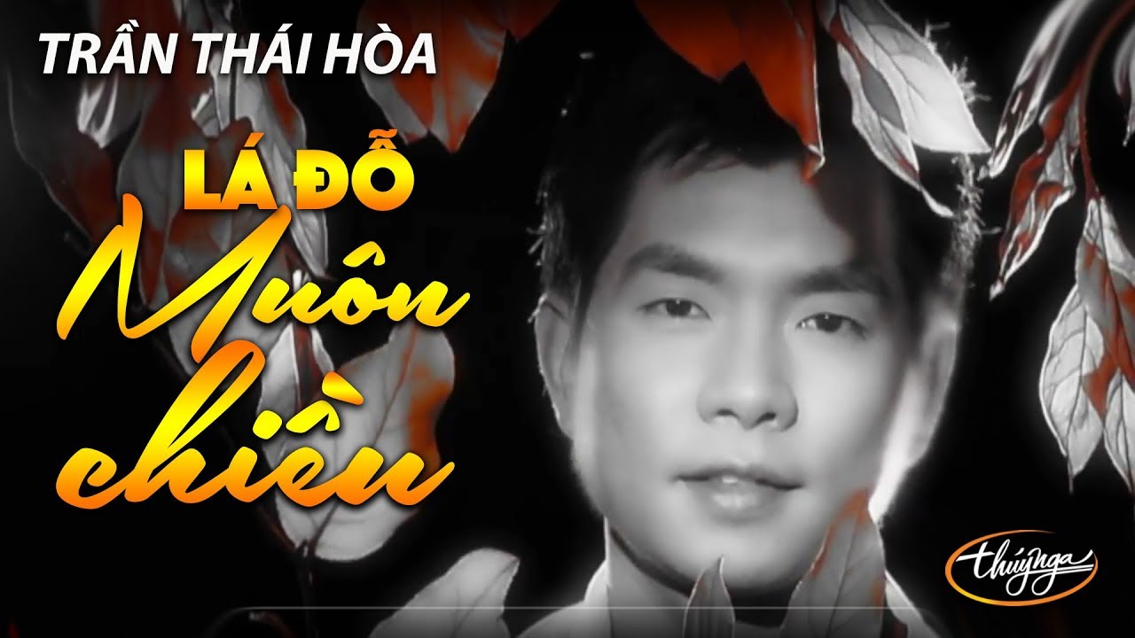 Trần Thái Hòa - Lá Đổ Muôn Chiều (Đoàn Chuẩn, Từ Linh) PBN 97