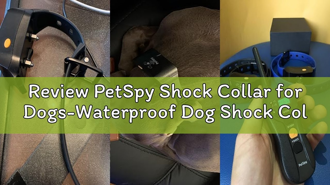 Review PetSpy Shock Collar for Dogs-Waterproof Dog Shock Collar with Remote Control,Vibration,Electr