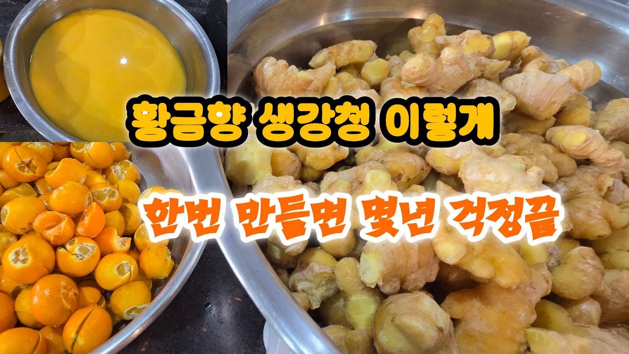 겨울철 감기예방 황금향 생강청 이렇게 한번 만들면 몇년 걱정끝