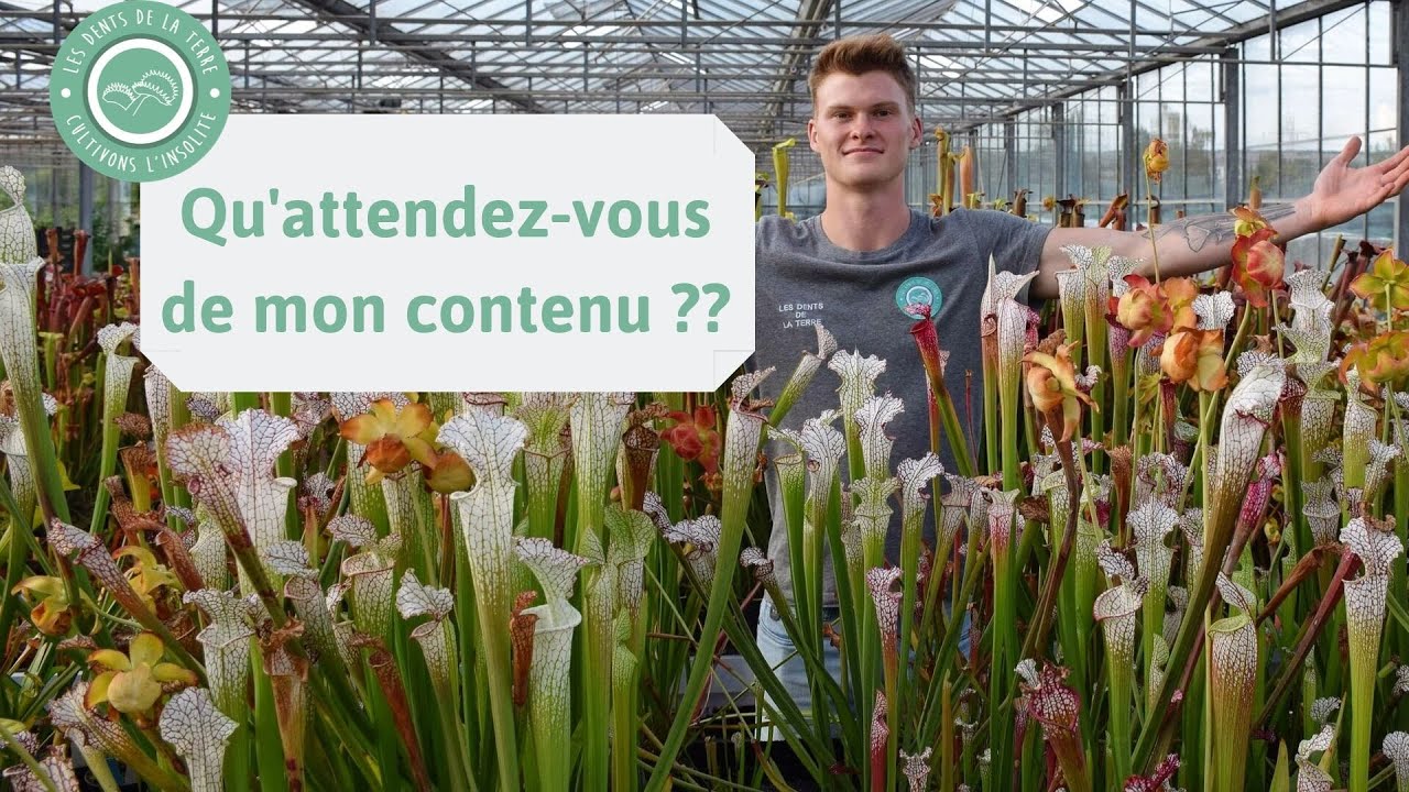 Que va devenir ma cha&icirc;ne YouTube ?! ⚖️