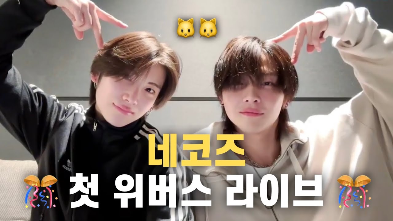 [&TEAM/앤팀] 231228 니콜라스 유마 위버스 라이브 「드디어🐱🐱」 요약