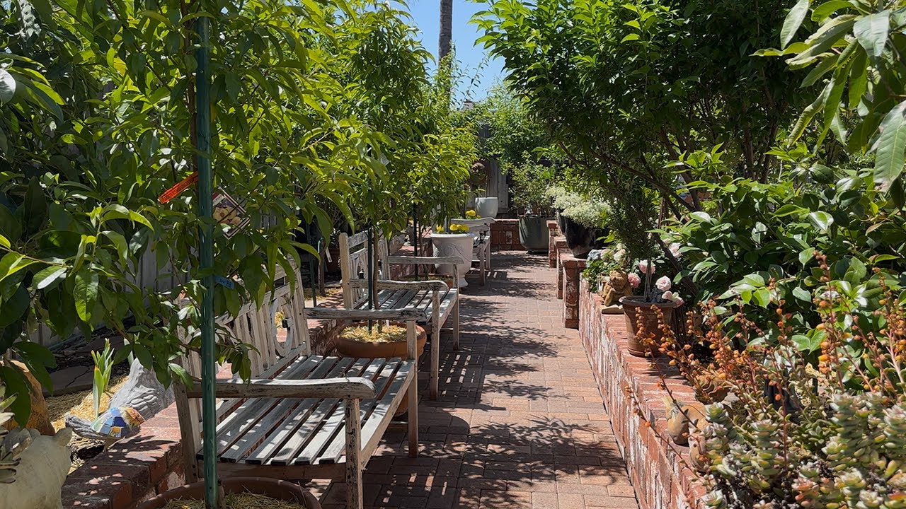 Transform Your Backyard into a Lush Fruit Forest