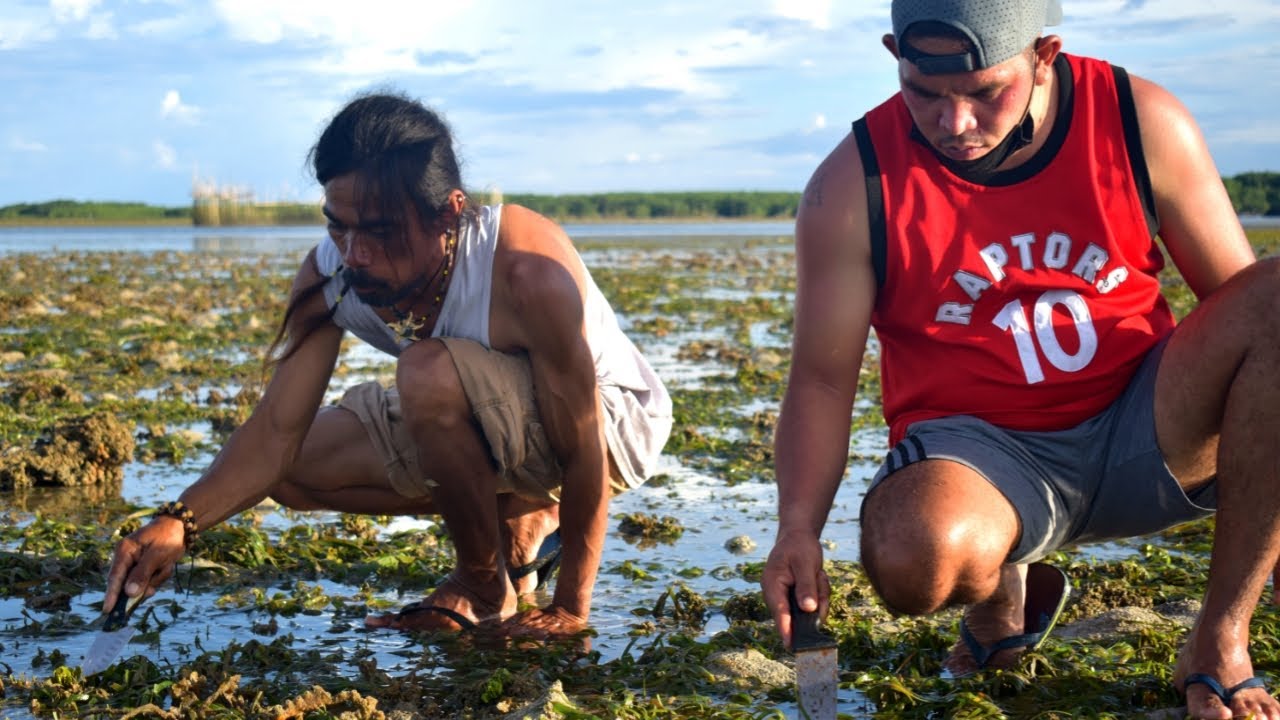 PANGUNGUHA NG SHELL SA GITNA NG DAGAT