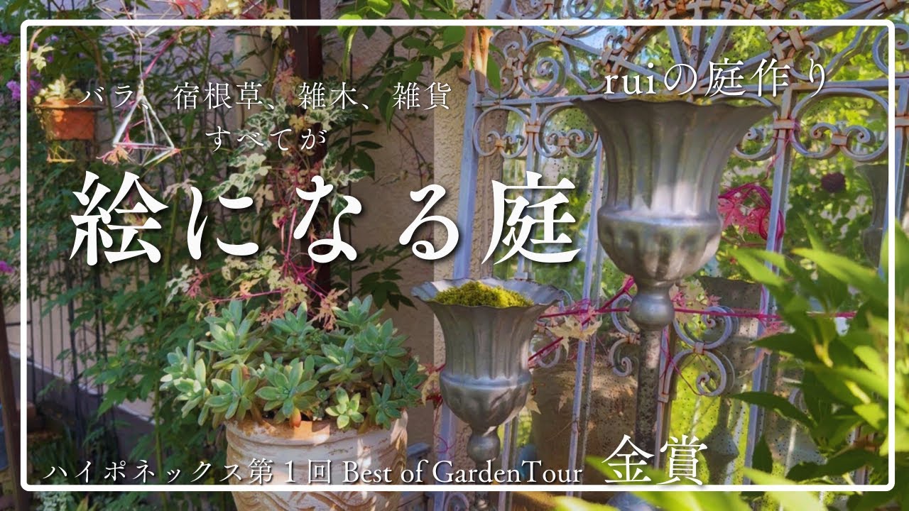 《お庭訪問／ruiの庭作り》バラ・宿根草・雑木・雑貨どこをとっても絵になるセンスあふれるお庭／お手入れの行き届いたお庭の秘密／ハイポネックスベストオブガーデンツアー金賞　5/17撮影