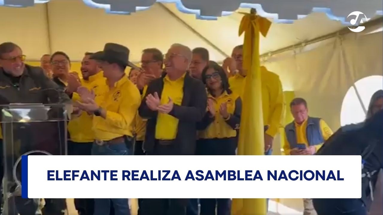 Elefante realiza asamblea nacional