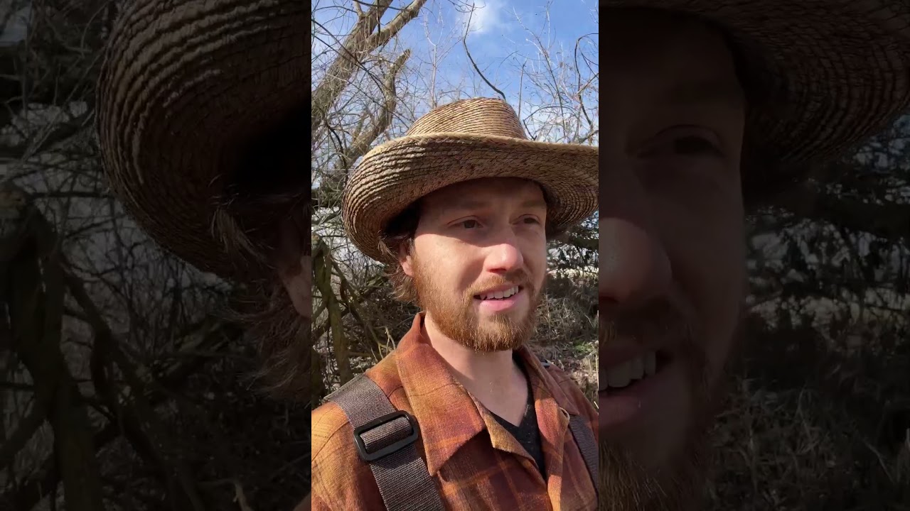 Trapping for self sufficiency  #survival #bushcraft #trapping #outdoors #selfsufficiency #wilderness